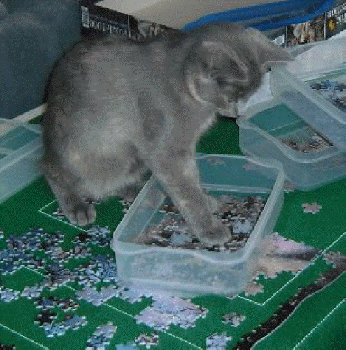 Puzzeln macht mir Spass