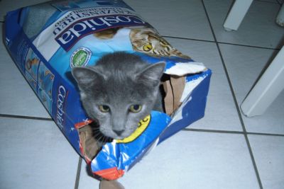 Trixys Lieblingsspielzeug